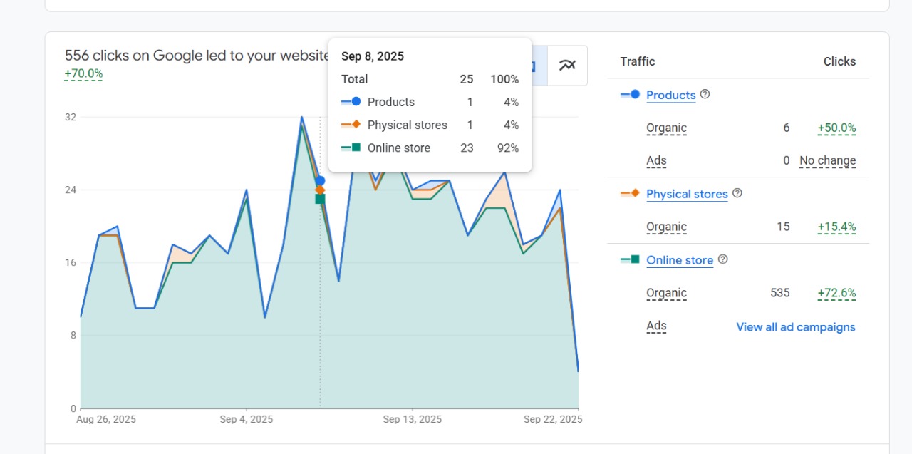 SEO result 3